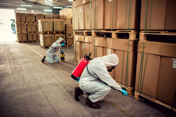 Best Bed Bug Extermination  in Brenham, TX