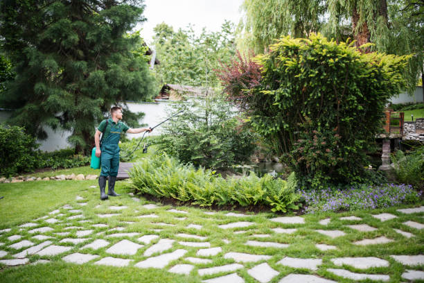 Best Mosquito Control Services  in Brenham, TX