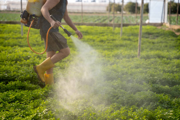 Best Pest Control Cost  in Brenham, TX
