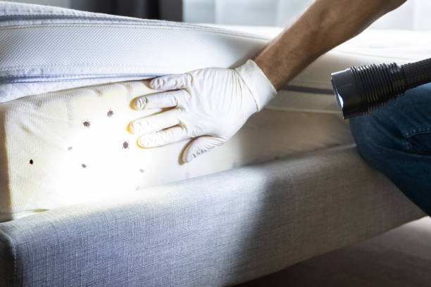 Best Pest Control Cost  in Brenham, TX